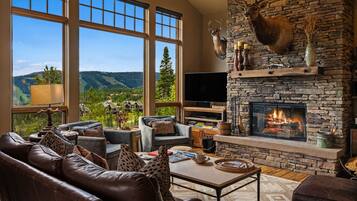 TV, fireplace, offices