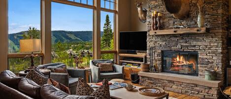 Télévision, cheminée, espaces bureaux