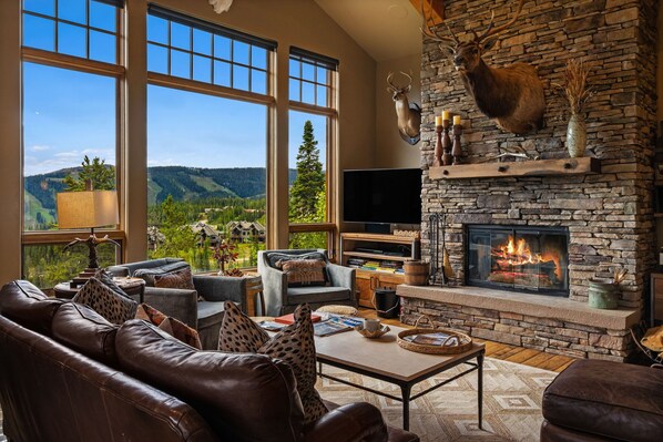 TV, fireplace, offices