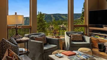 TV, fireplace, offices