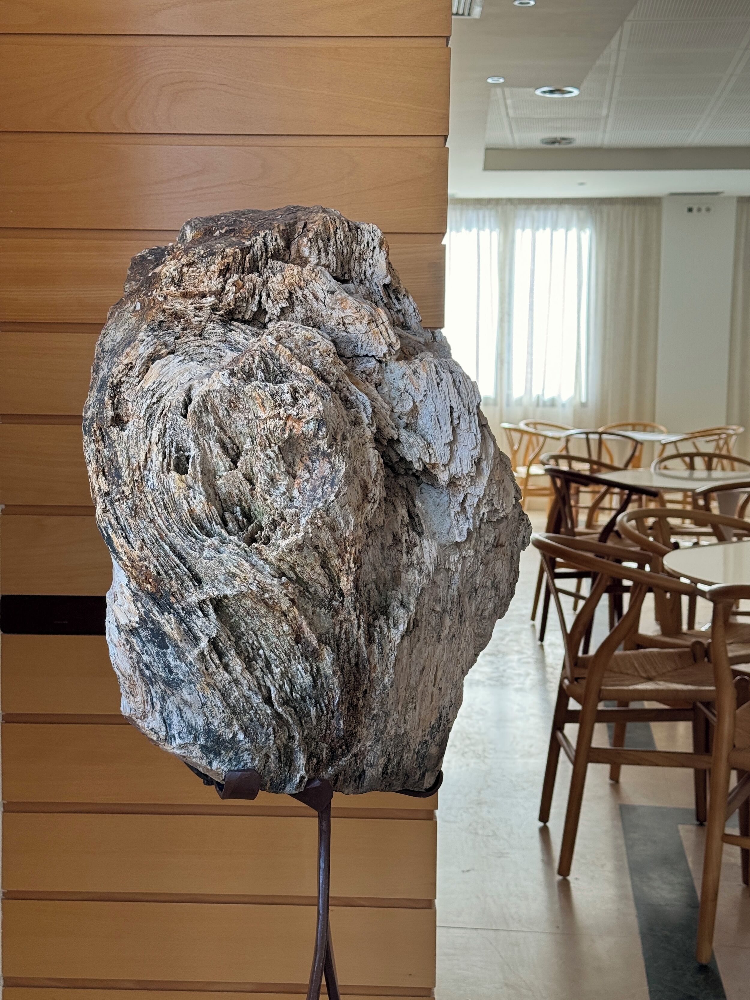 A large rock sculpture in a modern interior space with wooden paneling and a dining area with tables and chairs.