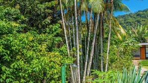 A lush garden with tall palm trees, a wooden bench, and various potted plants. - Pousada Casa do Pescador Camburi (São Sebastião)