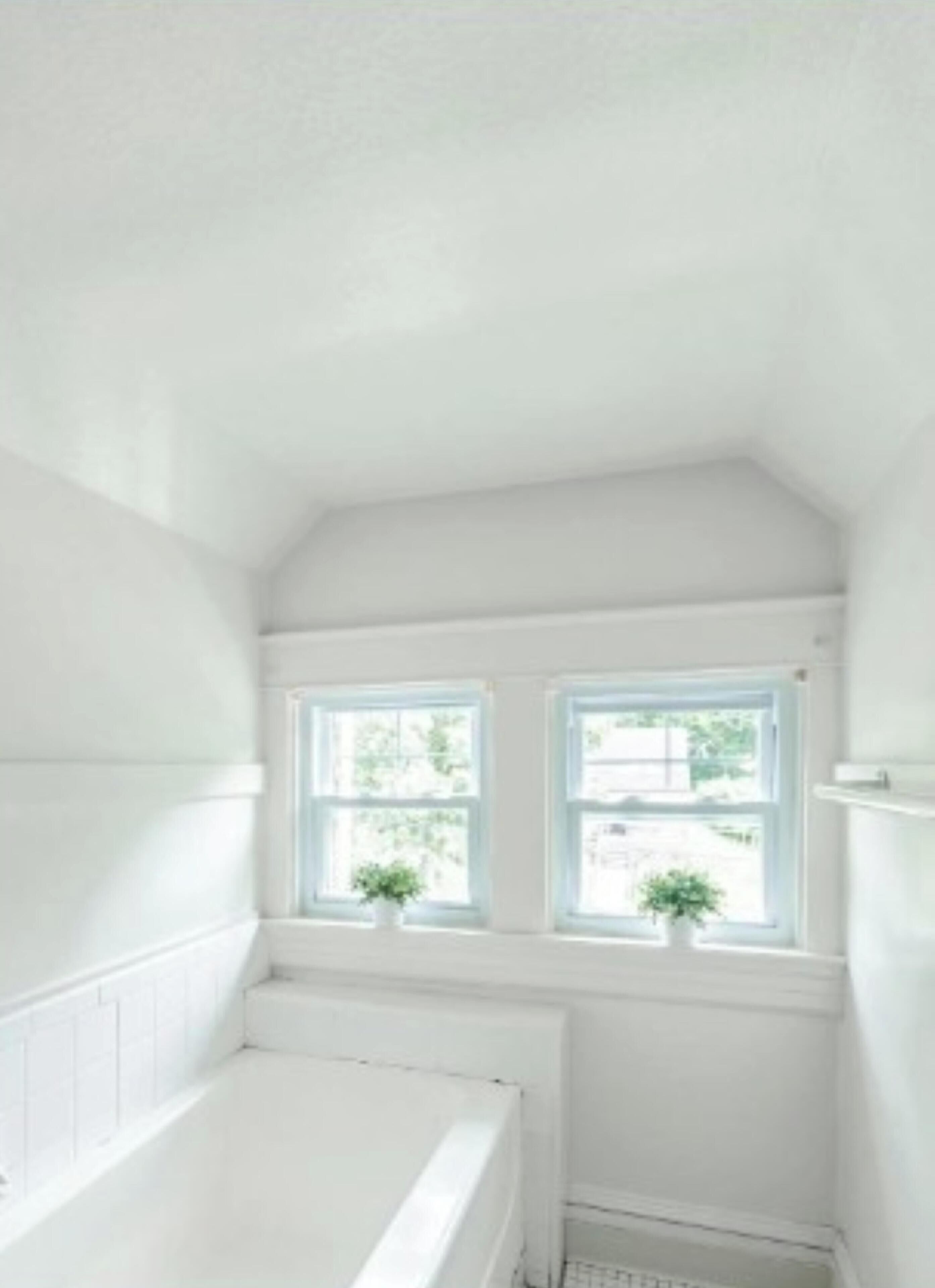A small, white bathroom with a bathtub, two windows, and a potted plant.