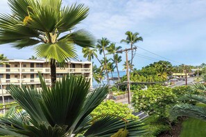 A multi-story hotel with balconies, surrounded by lush greenery and palm trees.