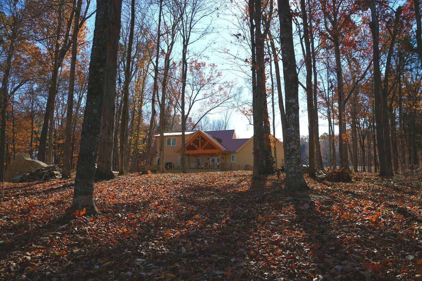 Eine Hütte, umgeben von hohen Bäumen und einem mit herabgefallenen Blättern bedeckten Waldboden.
