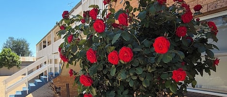 Overnatningsstedets facade