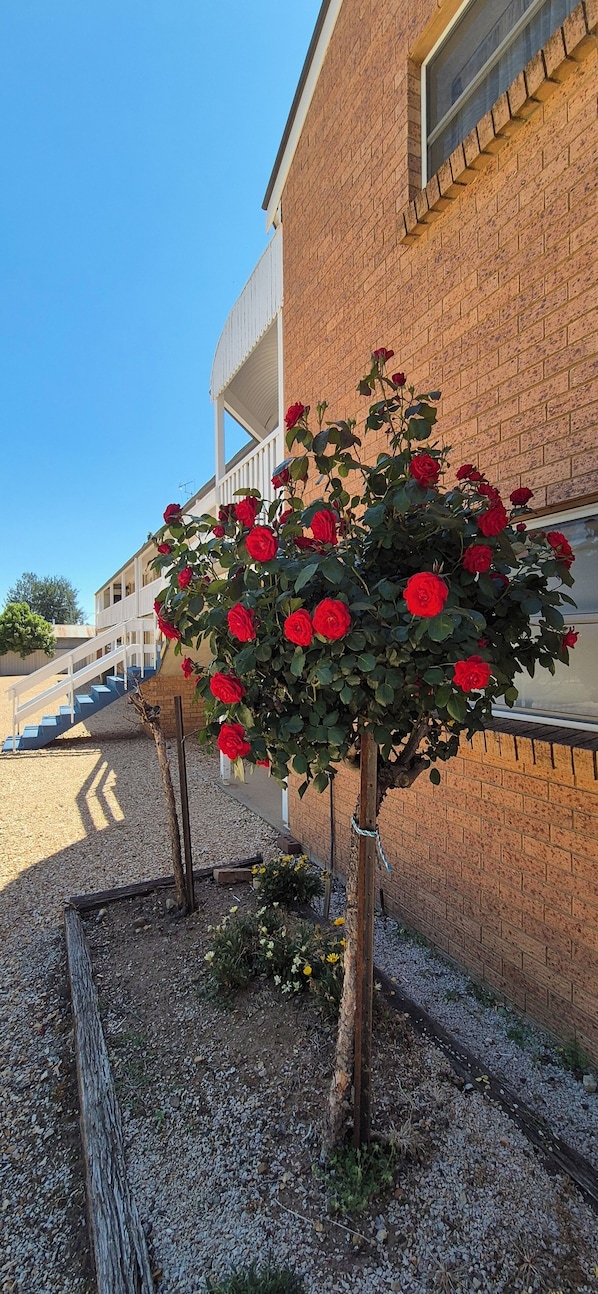 Façade de l’hébergement
