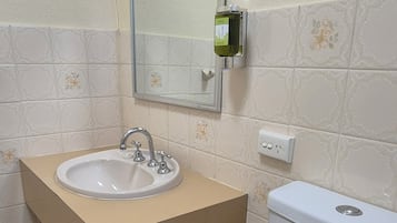 Un baño con lavamanos, espejo, inodoro y cubo de basura.