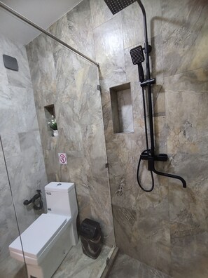 Shower, hair dryer, bidet, towels