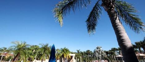 Een verwarmd zwembad