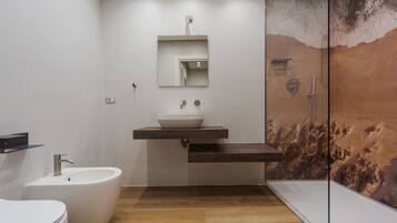 Shower, hair dryer, bidet, towels