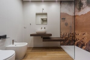 Shower, hair dryer, bidet, towels