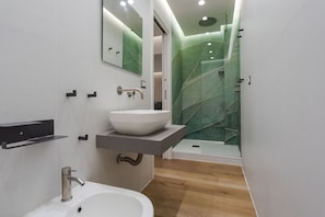 Shower, hair dryer, bidet, towels