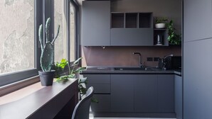 A modern kitchen with built-in cabinets, a window with a cactus plant, and a sink.