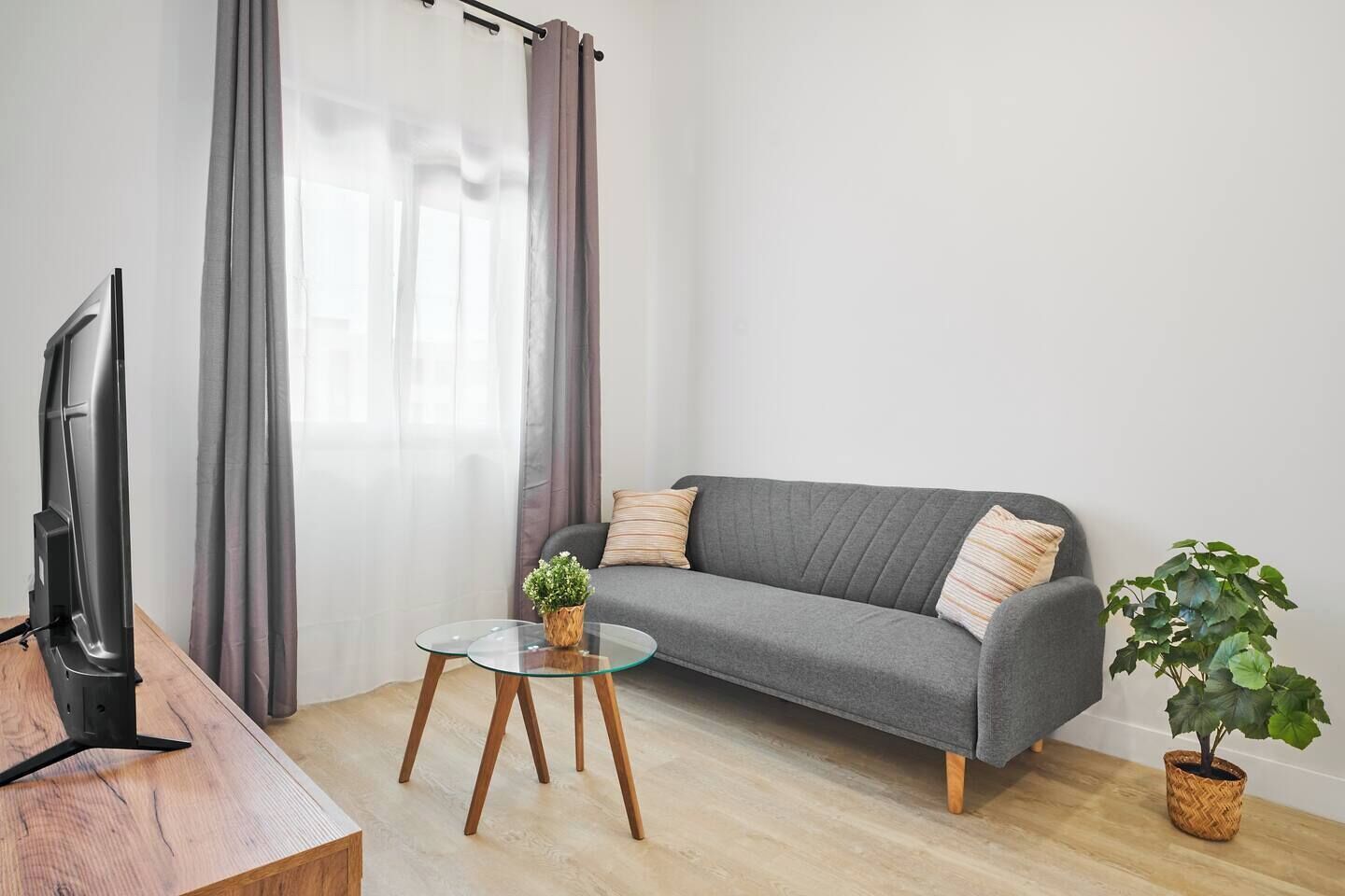 A modern living room with a grey sofa, a glass coffee table, a television on a wooden stand, and a potted plant.