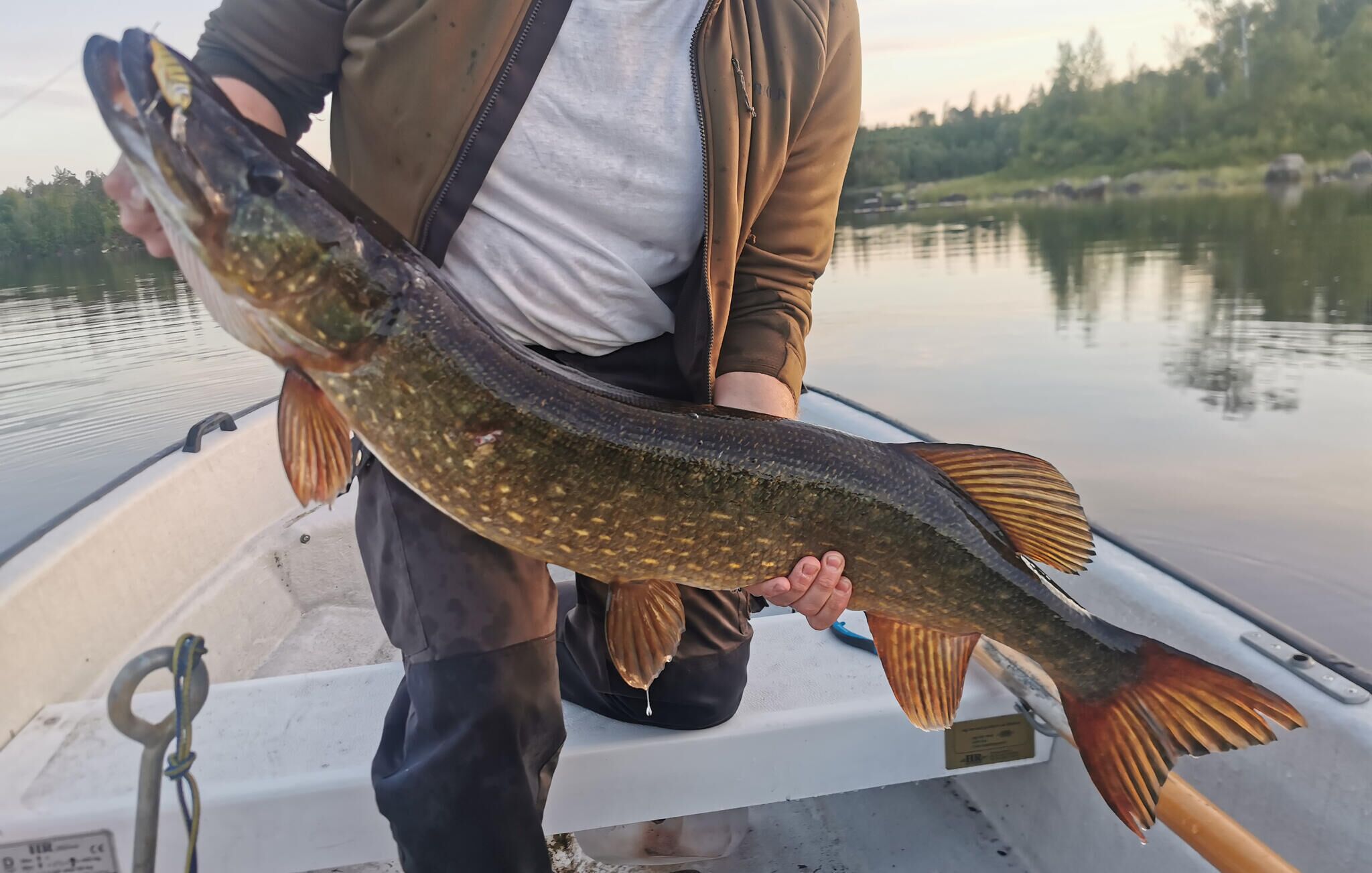 Henkilö, jolla on suuri kala kädessään veneessä.