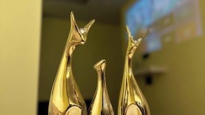 Three golden trophies with a reflective surface. - Sunrise studio 2 (Delhi)