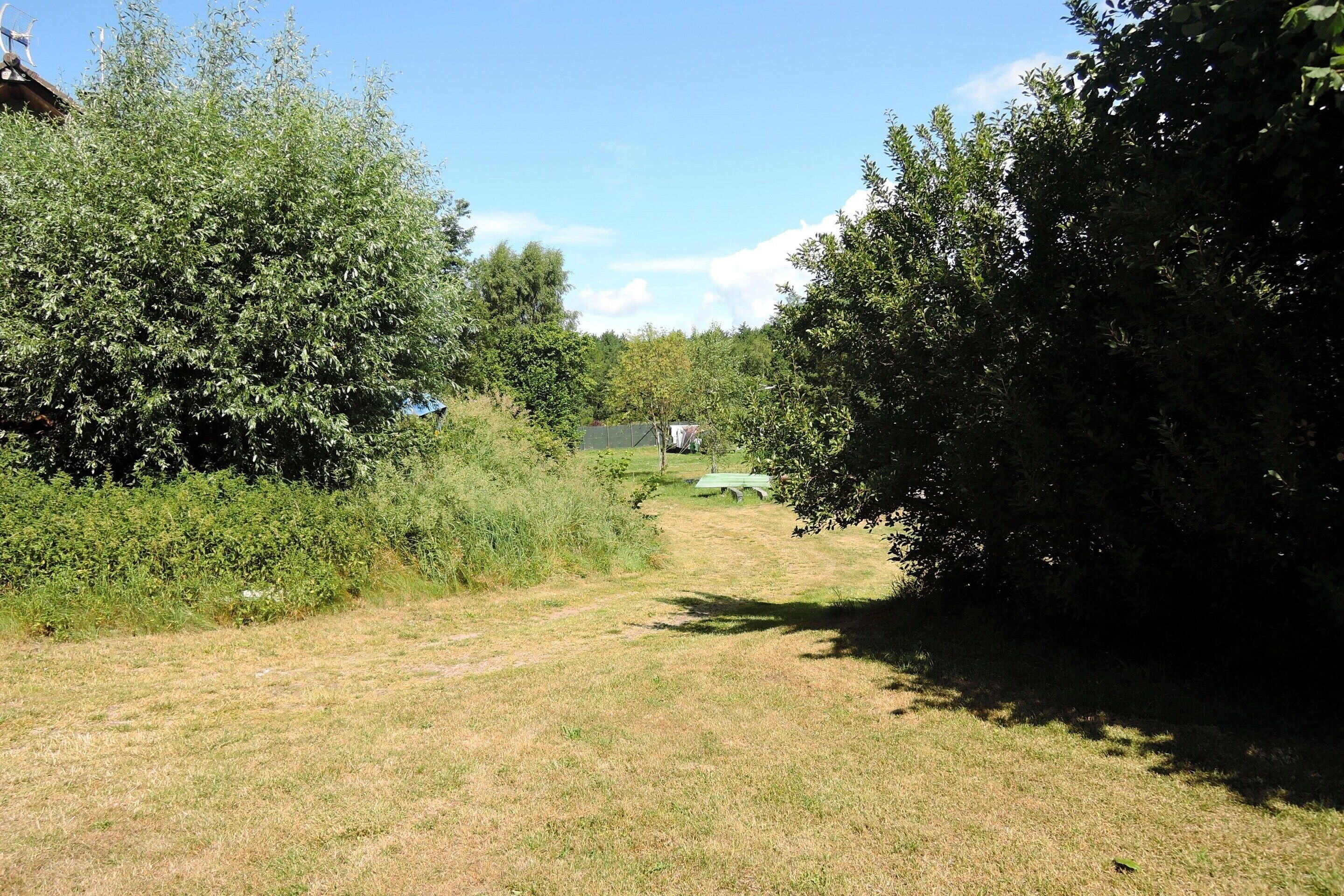 A grassy area with dense foliage on both sides, leading to a distant structure.
