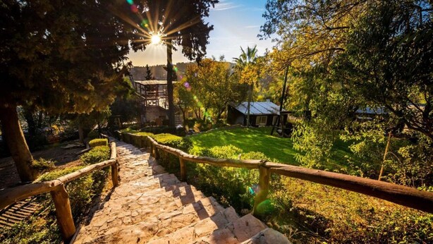 A stone staircase leading to a building with a metal roof, surrounded by greenery and a wooden fence. - Peace Forest Jerusalem - Cabins & Caravans by City of David (Jerusalem)