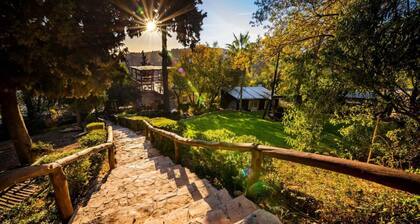 Peace Forest Jerusalem - Cabins & Caravans by City of David