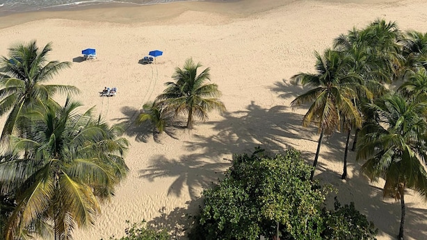 Una playa con agua turquesa cristalina, una orilla arenosa y palmeras.