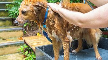 Comodidades para pets