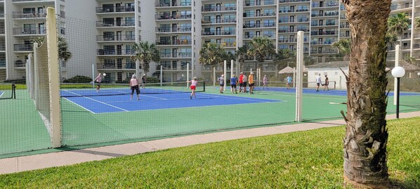 Sport court