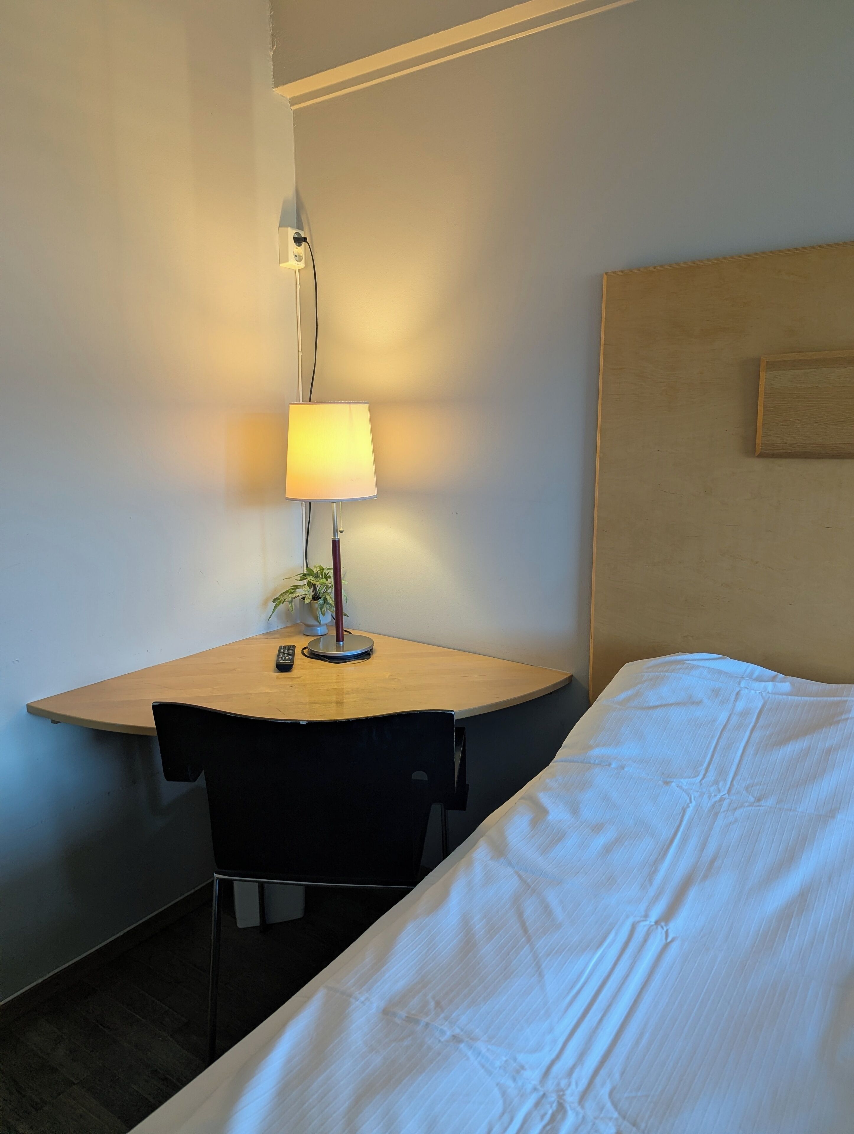 A hotel room with a bed, a desk with a lamp, a chair, and a small potted plant.