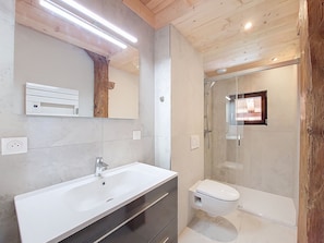 Shower, hair dryer
