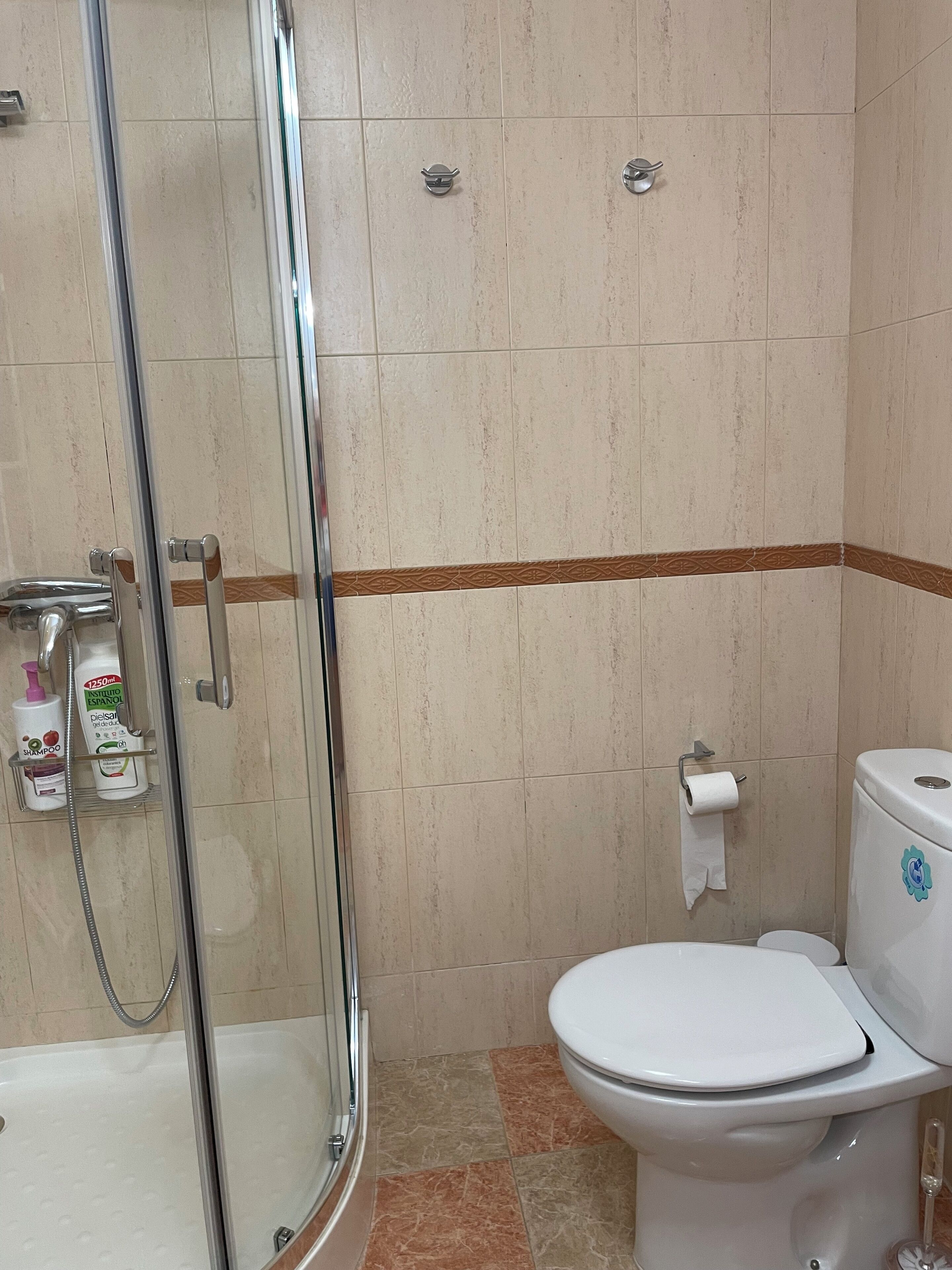 Kylpyhuoneessa on lasiseinällä varustettu suihku, wc ja hylly, jossa on hygieniatuotteita.