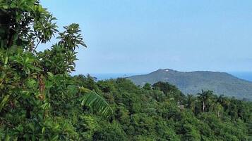 Terrain de l’hébergement