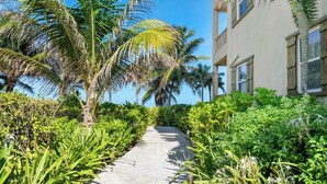 A pathway flanked by lush greenery and palm trees, leading to a building with large windows and balconies. - 2BR Oceanfront Condo w/ Pools, Balcony + Views (San Pedro Town)