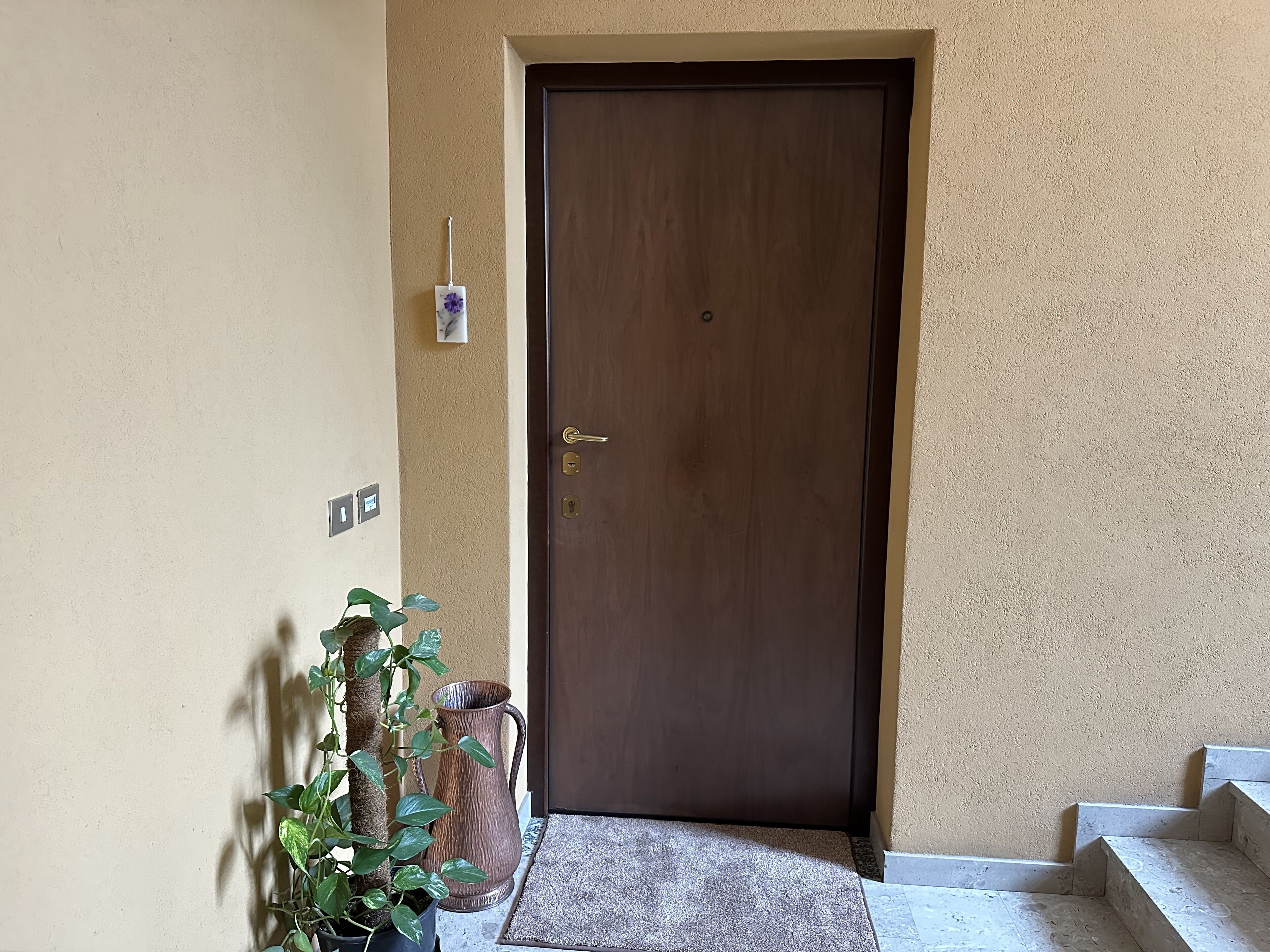 Una porta in legno con pomello, una piccola pianta in vaso e un boccale di metallo su uno scalino.
