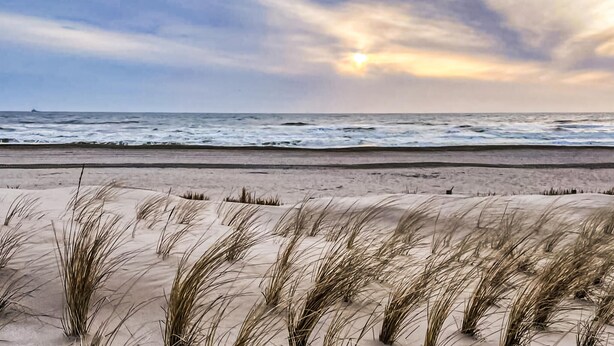 A beach with sand dunes and grass in the foreground, and the ocean in the background. - Nice home in Dirkshorn with WiFi (Dirkshorn)