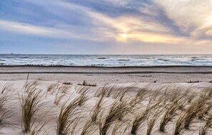 A beach with sand dunes and grass in the foreground, and the ocean in the background.