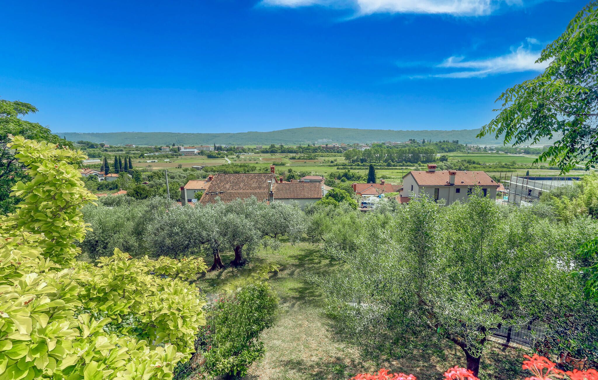Paesaggio rurale con ulivi, cielo azzurro e edifici tradizionali dai tetti in tegole rosse.