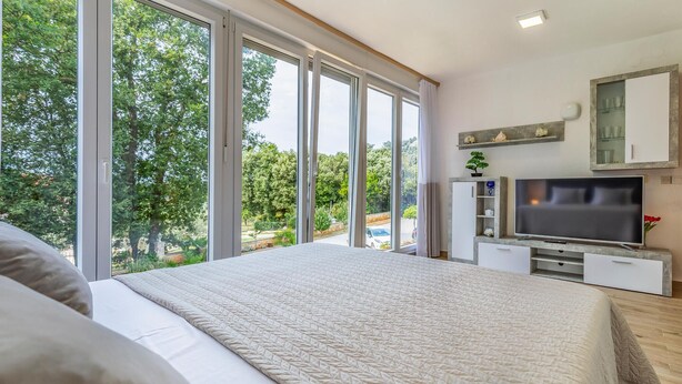 A bedroom with a large bed, a TV, and a view of trees through large windows.