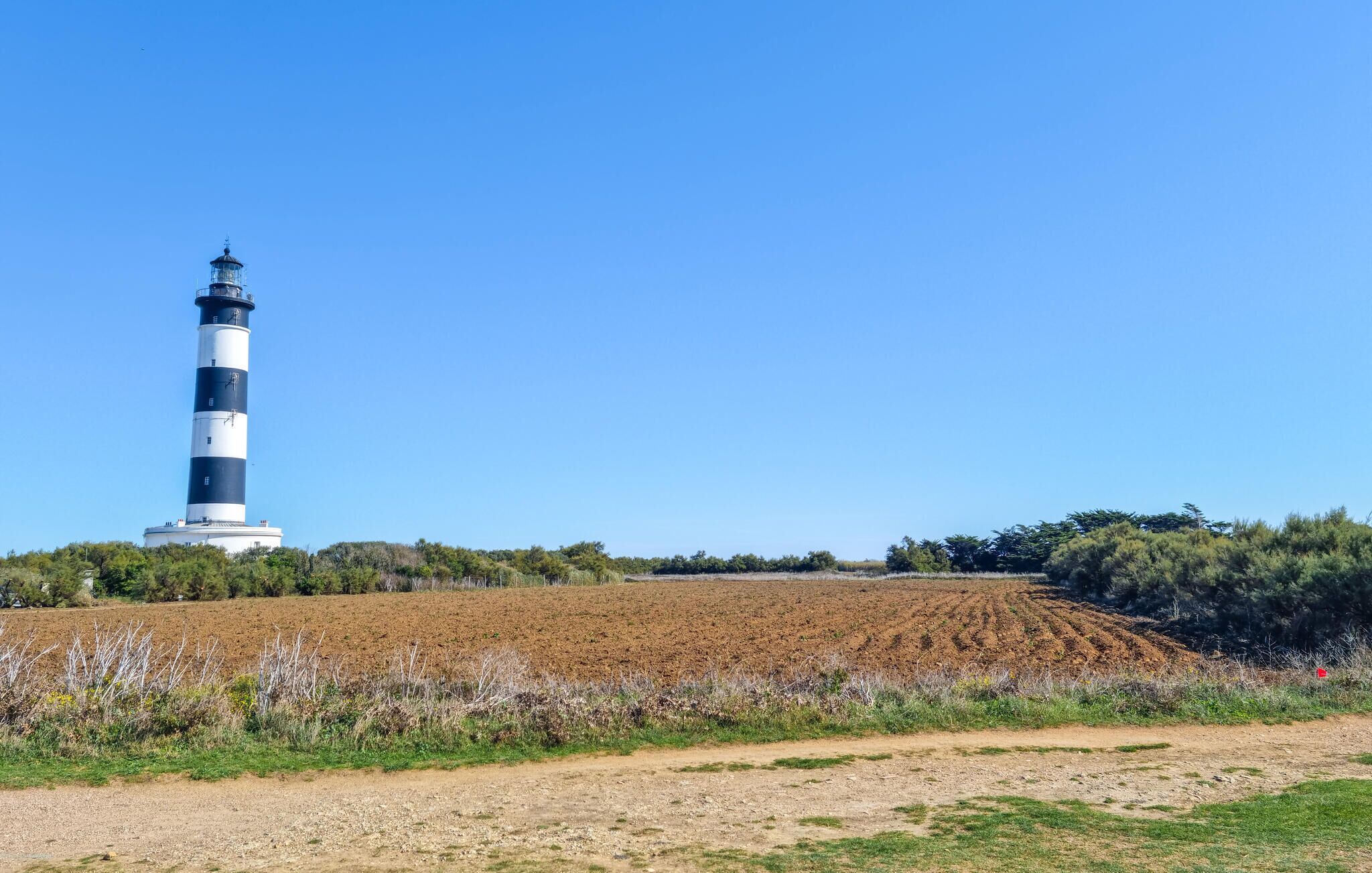 A lighthouse with a black and white striped tower, surrounded by a plowed field and sparse vegetation.