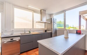 Fridge, stovetop, dishwasher