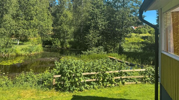 Uklassifisert bilde, 1 av 31, knapp