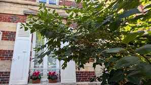 A building facade with a window, white shutters, and red brickwork. - Charmante maison de ville (Chantilly)