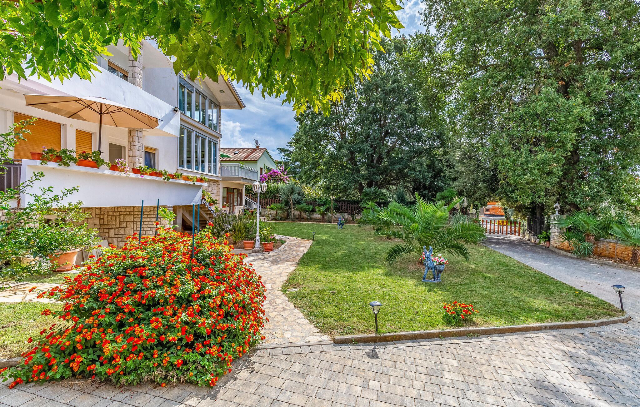 A residential area with a paved driveway, a well-maintained lawn, and a variety of potted plants and flowers.