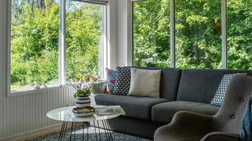 Televisor intel·ligent i llar de foc