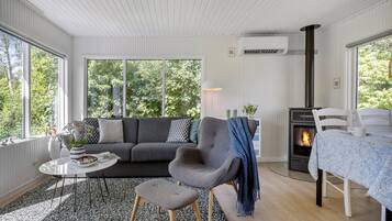 Televisor intel·ligent i llar de foc