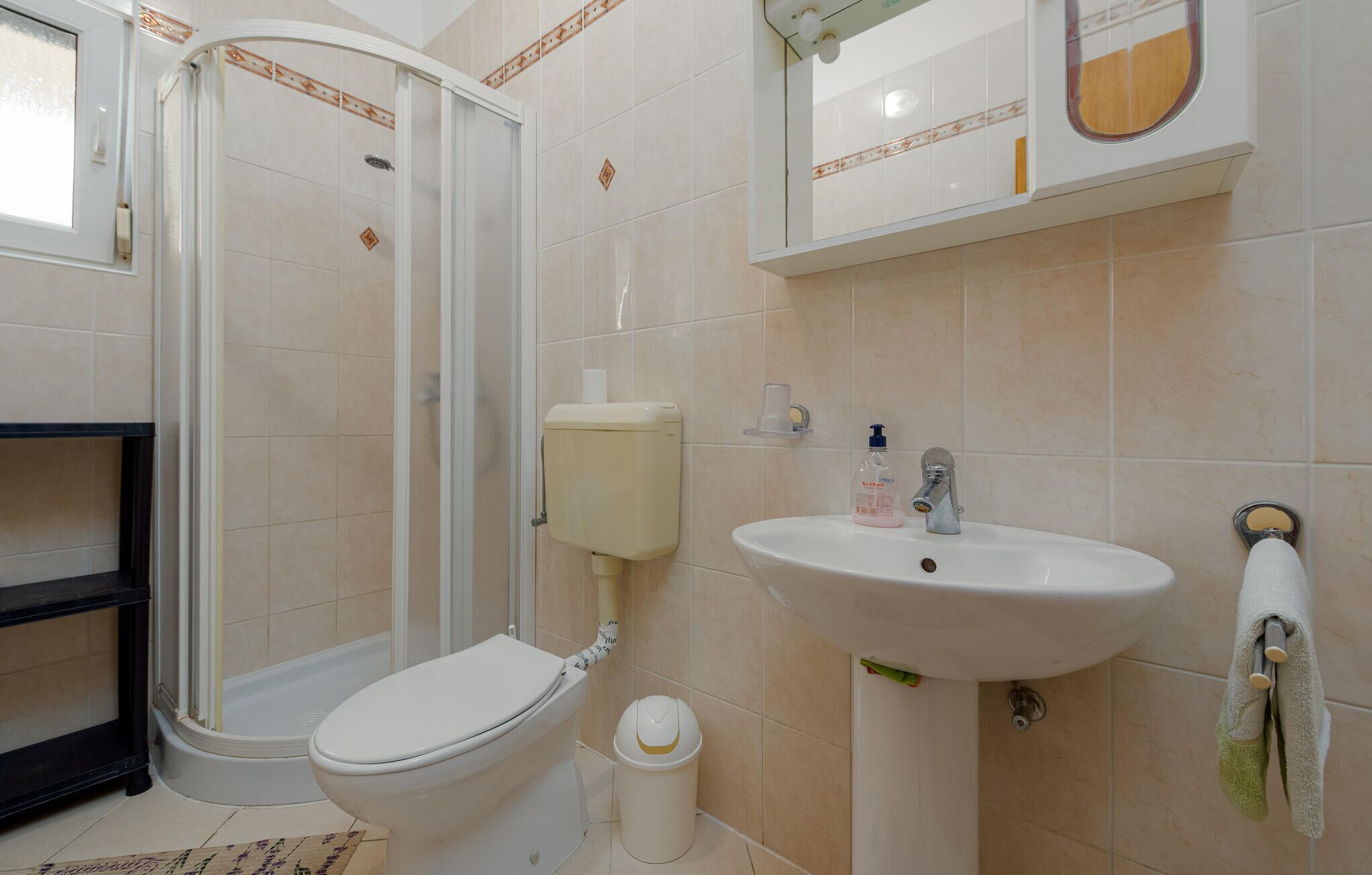 Une salle de bain équipée de toilettes, d’un lavabo et d’une douche.
