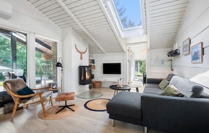 Smart TV, fireplace