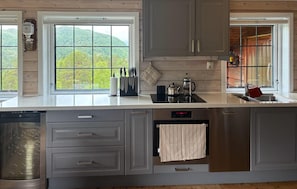 Refrigerador, microondas, horno, placa de cocina