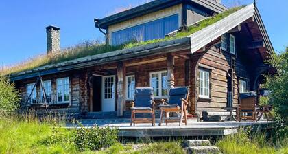 4 bedroom gorgeous home in Hovden i Setesdal