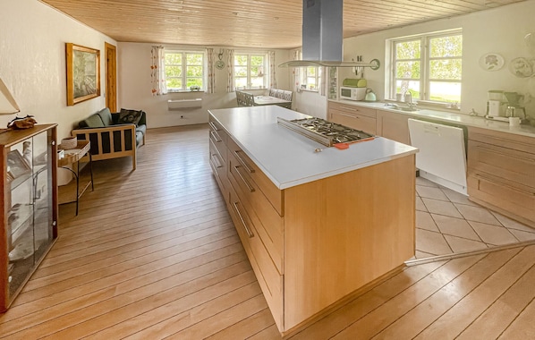 Kühlschrank, Mikrowelle, Herdplatte, Geschirrspüler