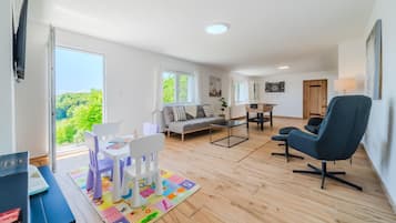 Smart-TV, Kamin